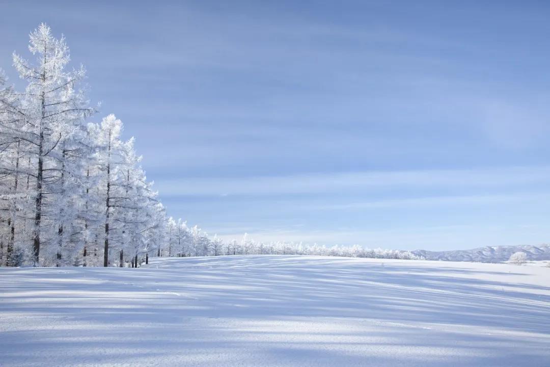 今日大雪！品讀雪中意境！
